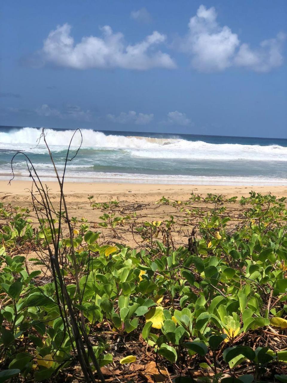 Pousada Boldro Home Fernando de Noronha Buitenkant foto