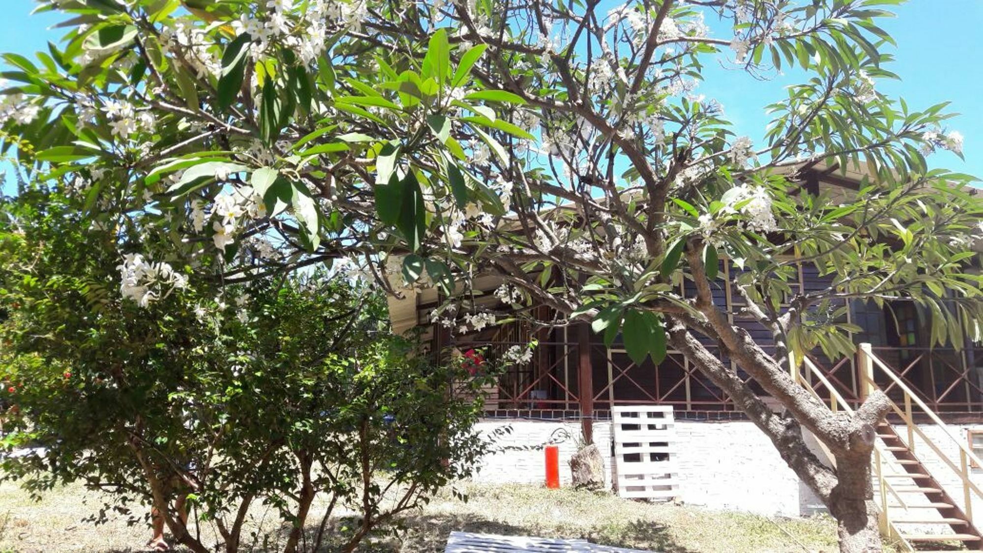 Pousada Boldro Home Fernando de Noronha Buitenkant foto